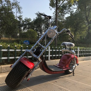Gratis Verzending Nieuwe Model Grote Een Wiel 1000W Krachtige Elektrische Scooter Groothandel - Product Image 2
