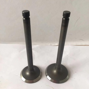 Nhà Máy Trực Tiếp Bán Động Cơ Van Bộ Phận Được Sử Dụng Cho Động Cơ Diesel <span class=keywords><strong>Mazda</strong></span> <span class=keywords><strong>R2</strong></span> - Product Image 2