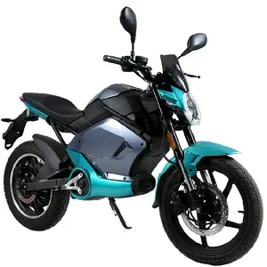 2021 New Style Design Luxury Fuerte High Quality Lithium Battery Electric Motorcycle Adult