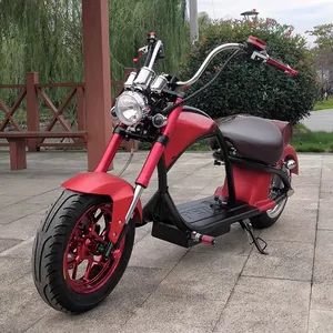 Electric Scooterオートバイ1000/1500W 12ah 20ah Seev City Coco With OffオフロードTire E-バイク