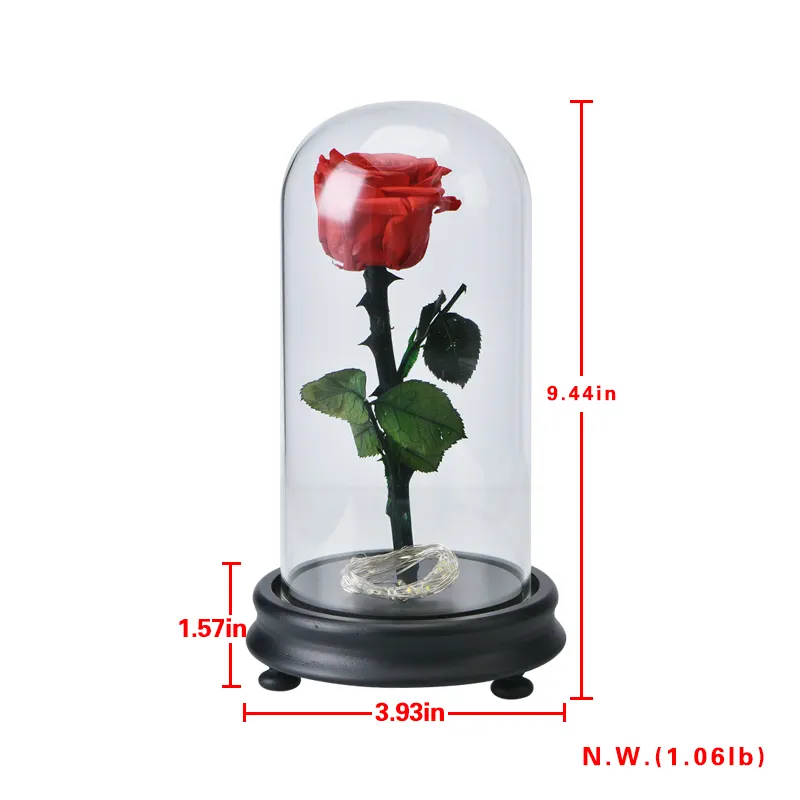 Yeni ürünler kırmızı gül tek sonsuz güller <span class=keywords><strong>moda</strong></span> taze gül çiçek cam kubbe Led işıkları ile