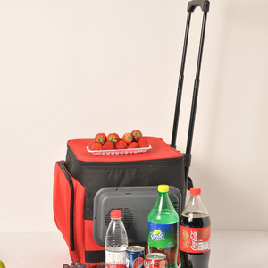 Tas Pendingin 22L Logo Pribadi Dicetak Promosi Dapat Tas Pendingin ETB22cooling Bag - Product Image 2