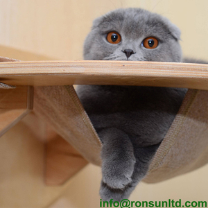 Cómoda hamaca de madera para gatos y mascotas, estante de montaje en pared - Product Image 3