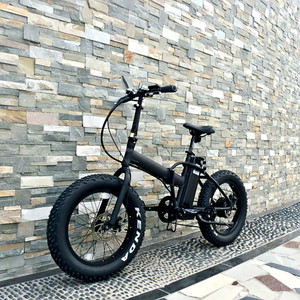 Hasky 20 pulgadas de tamaño, plegable hub gaviota bicicleta eléctrica - Product Image 4
