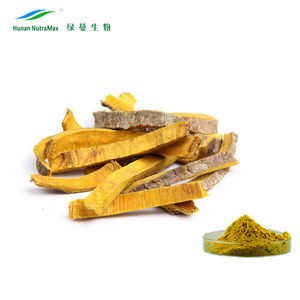 Ekstrak Kulit Kayu Huang Bai Phellotdendron Amurense, 97% Berberine HCL CAS NO. : 633-65-8 - Product Image 4