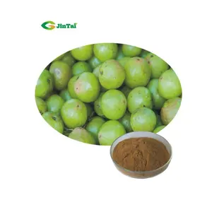 Органический экстракт Amla, порошок Amla, пищевой порошок Amla