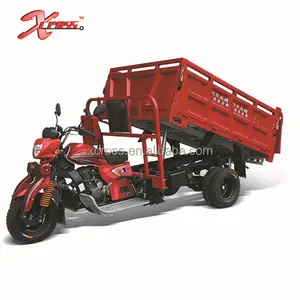 Factory Supply 250cc Water Cooled Cargo Tricycle Three Wheels For Sale Xcargo250Q