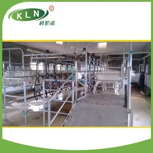 Milk Metering Bottle milking parlor for goat/sheep in farm