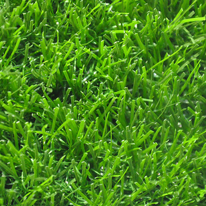 Venta de <span class=keywords><strong>la</strong></span> fábrica de <span class=keywords><strong>la</strong></span> hierba verde Mat para <span class=keywords><strong>la</strong></span> decoración del hogar - Product Image 1