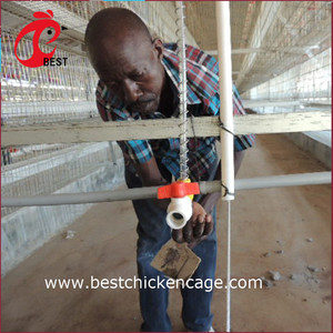 Cage à poulet de type h de Offre Spéciale pour poussins de <span class=keywords><strong>1</strong></span> <span class=keywords><strong>jour</strong></span> - Product Image 3