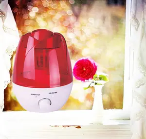 Humidificador de vapor