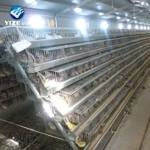 Cages de batterie de caille trempées à chaud, cage en treillis métallique galvanisé, prix d'usine, cage de batterie d'élevage d'œufs