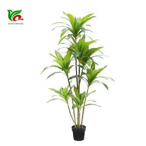 พืชจีนกับต้นไม้ Dracaena ประดิษฐ์ที่เป็นมิตรกับสิ่งแวดล้อม