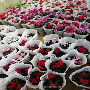 Non Woven Wholesale Grow <strong>Bags</strong> for Plants for <strong>Vegetables</strong> - Product Image 5