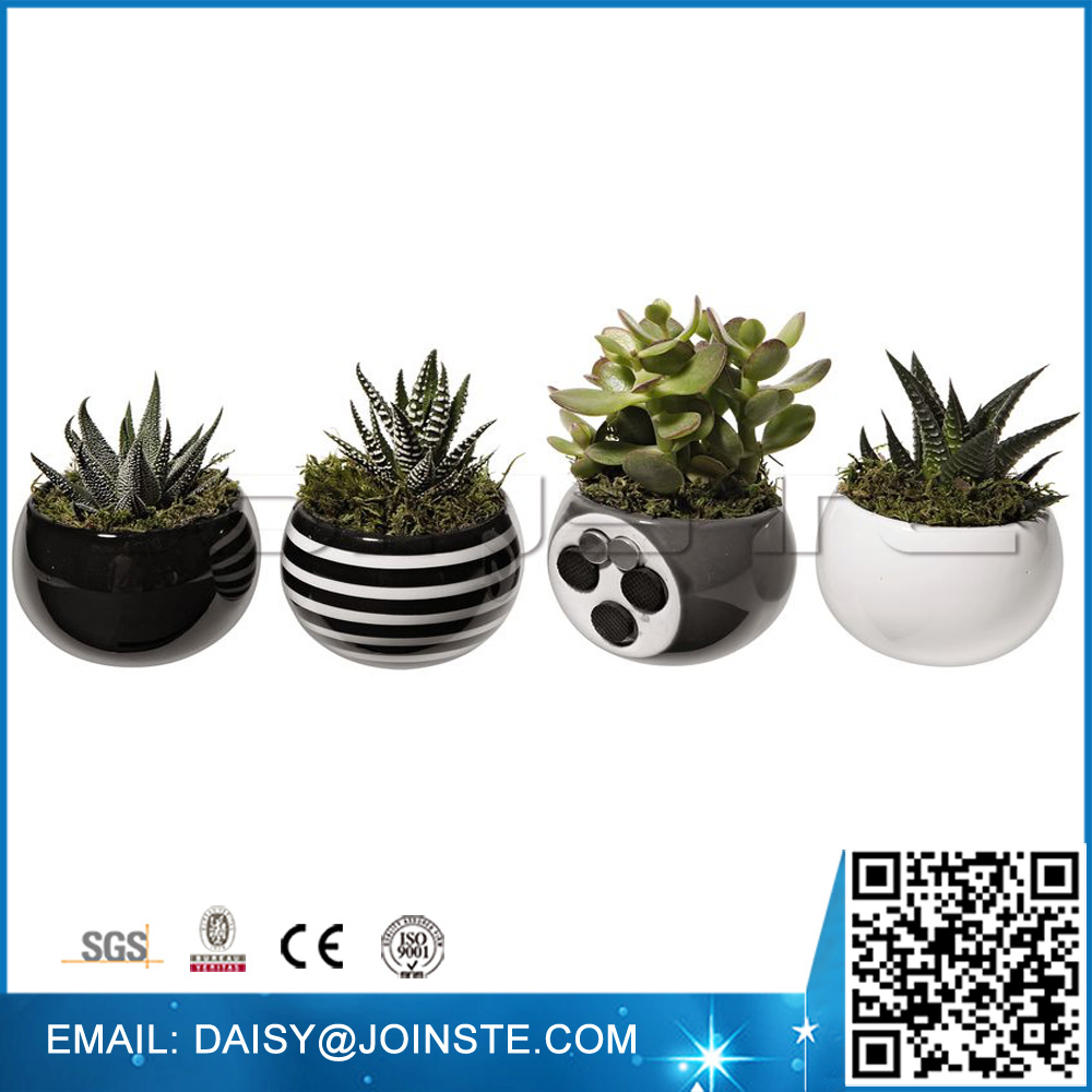 Kleine Blumenmagnete, Magnetischer Blumentopf, Dekorative Halbrunde  Wandpflanzgefe| Alibaba.com