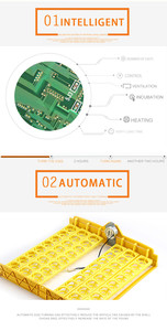 广州工厂200鸡蛋家禽培养箱/自动couveuse solaire孵化器孵化机 - Product Image 3