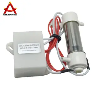 China Lieferant 110V 220V elektrischer Ozon generator für die Wasser aufbereitung