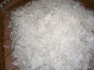 Nhà Máy Giá Mềm Ấm Trắng Vịt Lông Pluma Máy Có Thể Giặt Xuống Vịt Xuống Lông Cho Dệt May Gia Đình - Product Image 4