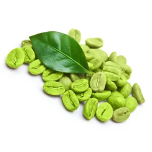 工厂批量价格纯绿咖啡豆提取物粉末绿原酸