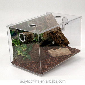 Customized high quality clear acrylic terrarium