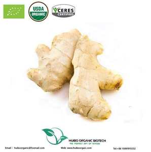 अदरक निकालने Gingerol 5% (पानी में घुलनशील) - Product Image 2