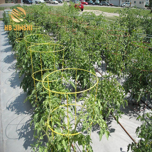 30"x18" <strong>Metal</strong> Cone Galvanized Tomato Cage <strong>Plant</strong> <strong>Support</strong> - Product Image 4