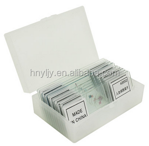 Histologie präparierte Objektträger / Eierstock von Hase sec Histologie präparierte Objektträger - Product Image 5