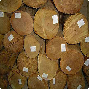 Muestra libre sándalo aceites esenciales - Product Image 3