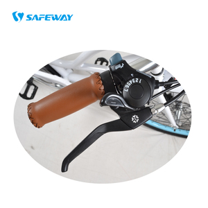 Vélo électrique Safeway vintage 26 pouces, cadre <span class=keywords><strong>en</strong></span> alliage, vélo électrique 48V <span class=keywords><strong>EN</strong></span> <span class=keywords><strong>15194</strong></span>, léger, écran LCD, élégant vélo électrique pour femme - Product Image 5