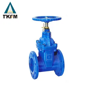 2 inch DN50 PN16 đúc nước sắt không tăng STEM sluice Van cổng với giá