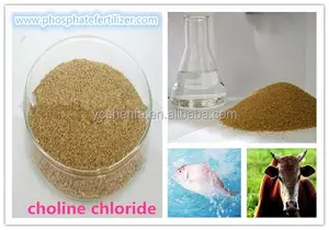 중국에서 동물 식품 제조를위한 콜린 클로라이드 50% 60% 75% (사료 등급)