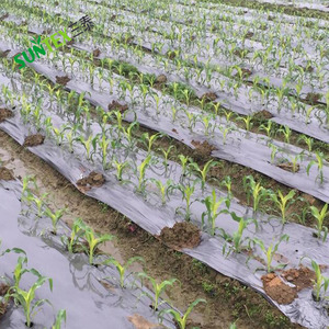 Film de paillage agricole en <span class=keywords><strong>plastique</strong></span> argenté pour la <span class=keywords><strong>protection</strong></span> des cultures et l'anti-mauvaises herbes - Product Image 3