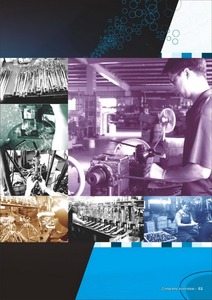 หางปลาหลอด - Product Image 5