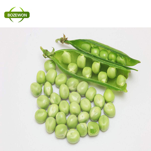 Poudre d'isolat de protéine de pois jaune certifiée biologique 85% Content Food Grade Nutrition Enhancer Additif alimentaire 2 Year Shelf - Product Image 6