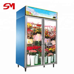 Vitrine Réfrigérée pour Fleurs à l'Apparence Élégante, avec Contrôle Numérique, Étagères Réglables, Conception à 2 Portes - Vente Flash - Product Image 6