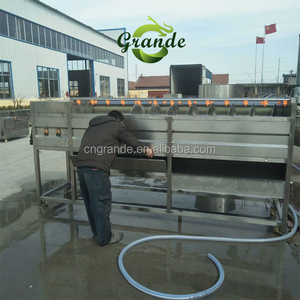 Automatique Châtaigne D'eau Rondelle Pistache et Châtaigne <span class=keywords><strong>Machine</strong></span> <span class=keywords><strong>À</strong></span> <span class=keywords><strong>Laver</strong></span> <span class=keywords><strong>À</strong></span> Vendre - Product Image 3