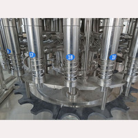 Projet clé en main complet de A à Z petite ligne de Production de remplissage de jus d'embouteillage prix de la Machine