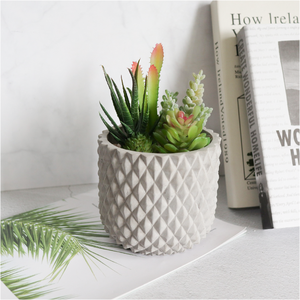 Vasi in Cemento Cilindrici Ecologici <span class=keywords><strong>e</strong></span> Durevoli per <span class=keywords><strong>Cactus</strong></span> <span class=keywords><strong>e</strong></span> Piante <span class=keywords><strong>Succulente</strong></span>, Confezione in Cartone, Vendita all'Ingrosso - Product Image 3