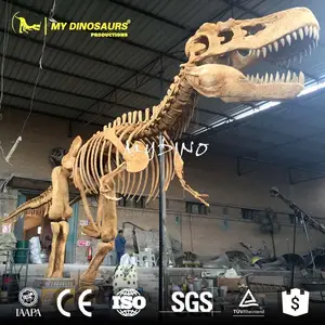 Meu dino ds004 esqueleto de dinossauro de resina realista, tamanho real
