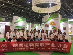 Undersun Nguyên Liệu Thô Chiết Xuất Ginkgo Biloba - Product Image 5