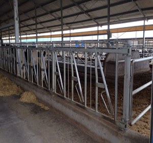 Koe/Vee/Heifer/Kalf Houdgreep (Houdgreep-012) - Product Image 1