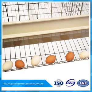 Jaulas de aves de corral <span class=keywords><strong>para</strong></span> la venta <span class=keywords><strong>para</strong></span> la capa de cría - Product Image 3