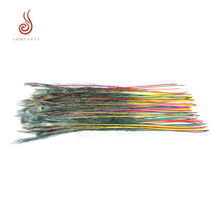 Giá rẻ bán buôn 100-110cm <span class=keywords><strong>Peacock</strong></span> Feather <span class=keywords><strong>Peacock</strong></span> Eye Đối với trang trí nội thất DIY - Product Image 6
