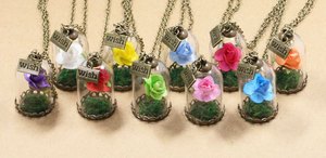 NX441 Huilin New Design <strong>Beauty</strong> <strong>and</strong> <strong>Beast</strong> Dry Rose Flower Necklace Creative Glass Bottle Red Rose Wish Pendant Necklace - Product Image 3