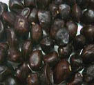 Sementes de tampão de alta qualidade da tailândia - Product Image 4