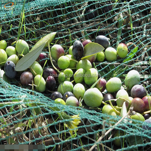 Red de Cosecha de Aceitunas Verdes/Redes de Protección Contra la Caída de Frutos - Product Image 6