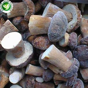 Frozen Whole Boletus Edulis Porcini Mushrooms
