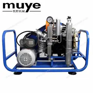 High Pressure Portable SCUBA Diving Air Breathing Compressor by Electric/Gasoline/diesel Motor