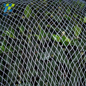 Agriculture Protection <strong>Anti</strong>-<strong>Bird</strong> <strong>Netting</strong> for Pool Covering Garden <strong>Netting</strong> Product - Product Image 6