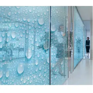 قوانغتشو كاهو شلال الداخلية الجدار عمود نظام رسمت زجاج غرفة الاستحمام التقسيم